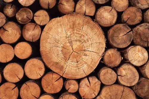Timber & Natural Wood